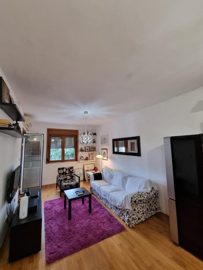 One Bedroom Centre Apartment Ποντγορίτσα Εξωτερικό φωτογραφία